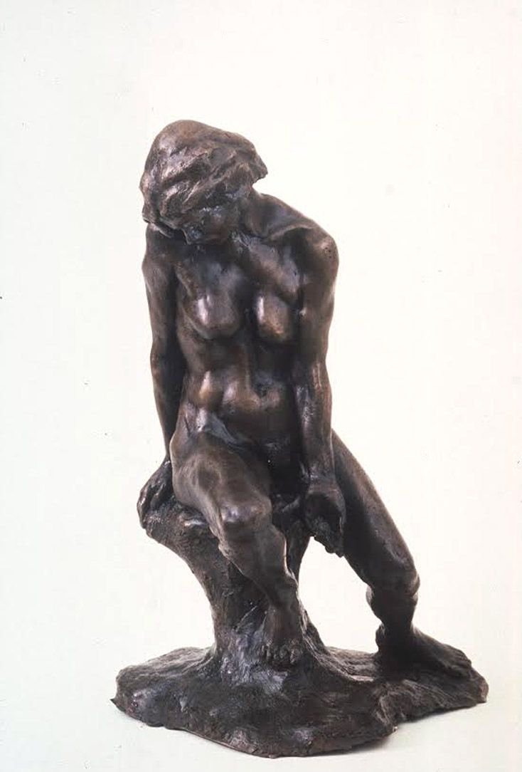 Folie Assise   Bronze Frehel (22)